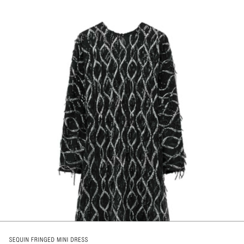 Zara Sequin Fringed Mini Dress